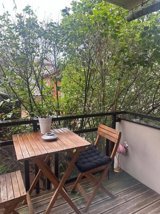 شقة Jardin Des Plantes Parking Securise Terrasse Et Ascenseur تولوز المظهر الخارجي الصورة